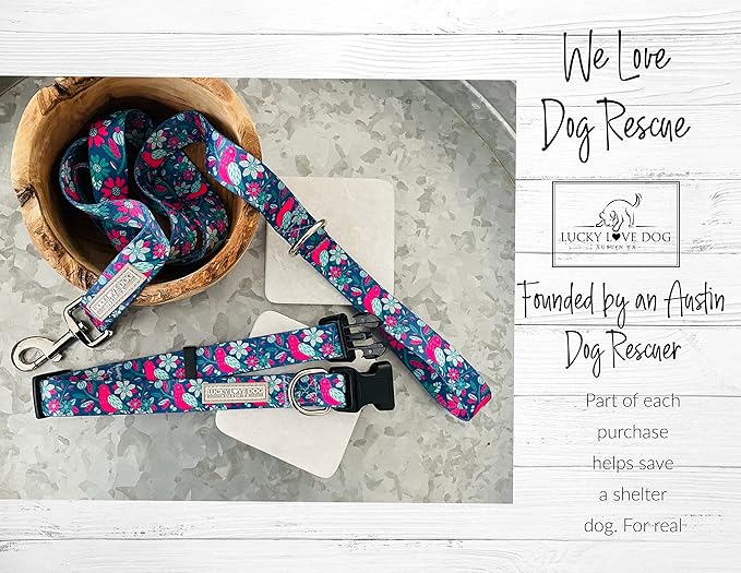 Lucky Love Dog - Adjustable Dog Collar with Easy Click Buckle for Small Dogs, Durable, & Comfortable for Male & Female Dogs, Pet Collar for Puppies & Adult Ones - Carriebelle, Small