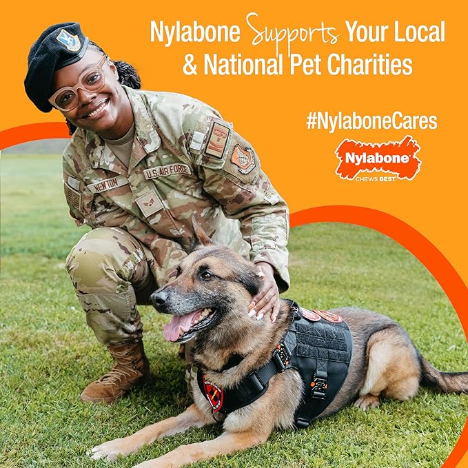 Nylabone Healthy Edibles Natural Dog Chews, Long Lasting Bones for Dogs, Roast Beef & Chicken Flavor Dog Treats, Small (12 Count)