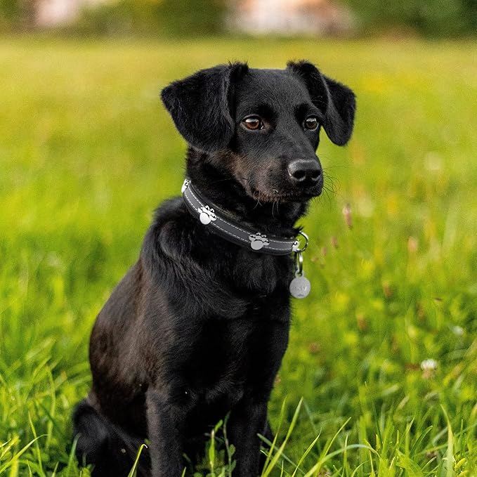 PETCARE Reflective Dog Collar with Cute Paw Rivet Studded Funny Soft PU Leather Adjustable Puppy Dog Collars for Small Medium Large Dogs Cats (Black,Medium)