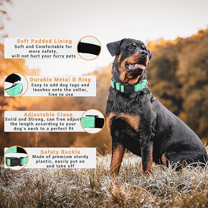 2 Pack Reflective Dog Collar with Safety Locking Buckle, Adjustable Soft Breathable Comfortable Nylon Pet Collar for Small, Medium and Large Dogs, Turquoise, S