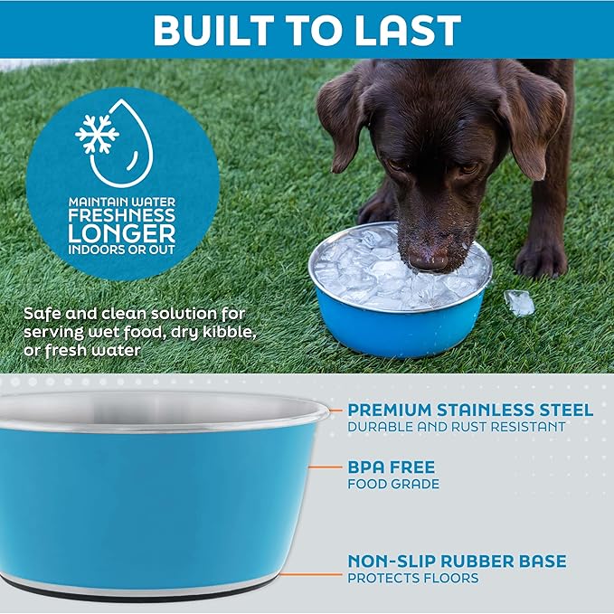 Master Pet Supply Stainless Steel Dog Bowls Set of 2 (128 Oz Each) with Non-Slip Rubber Base - Mango Tango - Basic Dog Food Bowl Water & Food Bowls for Small Medium Large Dogs & Cats, Metal Dish