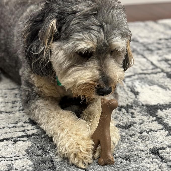SPOT Bam-Bones Wishbone - Made with Strong Bamboo Fiber, Durable Long Lasting Dog Chew for Light to Moderate Chewers, Great Toy for Adult Dogs & Teething Puppies Under 30lbs, 5.25in, Bacon Flavor
