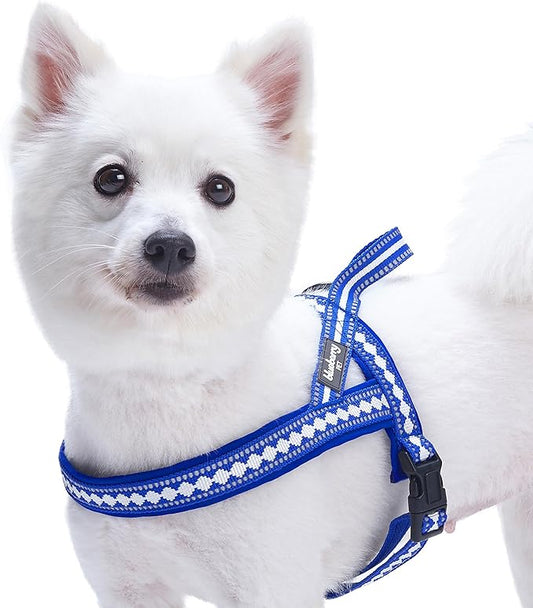 Blueberry Pet 4 Colors Soft & Comfy 3M Reflective Jacquard Padded Dog Harness, Chest Girth 25.5" - 31.5", Palace Blue, M/L, Adjustable Harnesses for Dogs